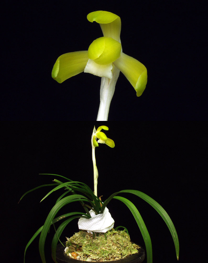 ������ ū������ �� �� �ֽ��ϴ�.